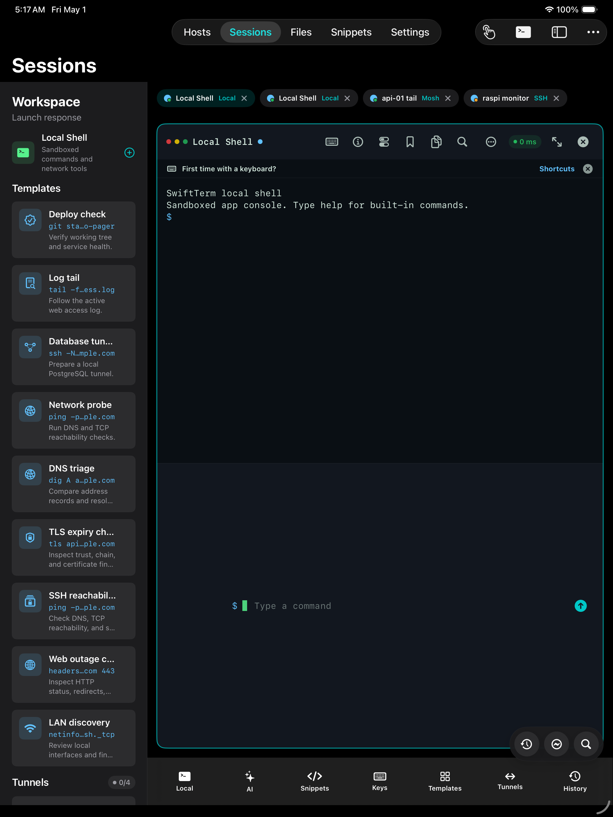 SwiftTerm iPad session workspace with terminal and command templates