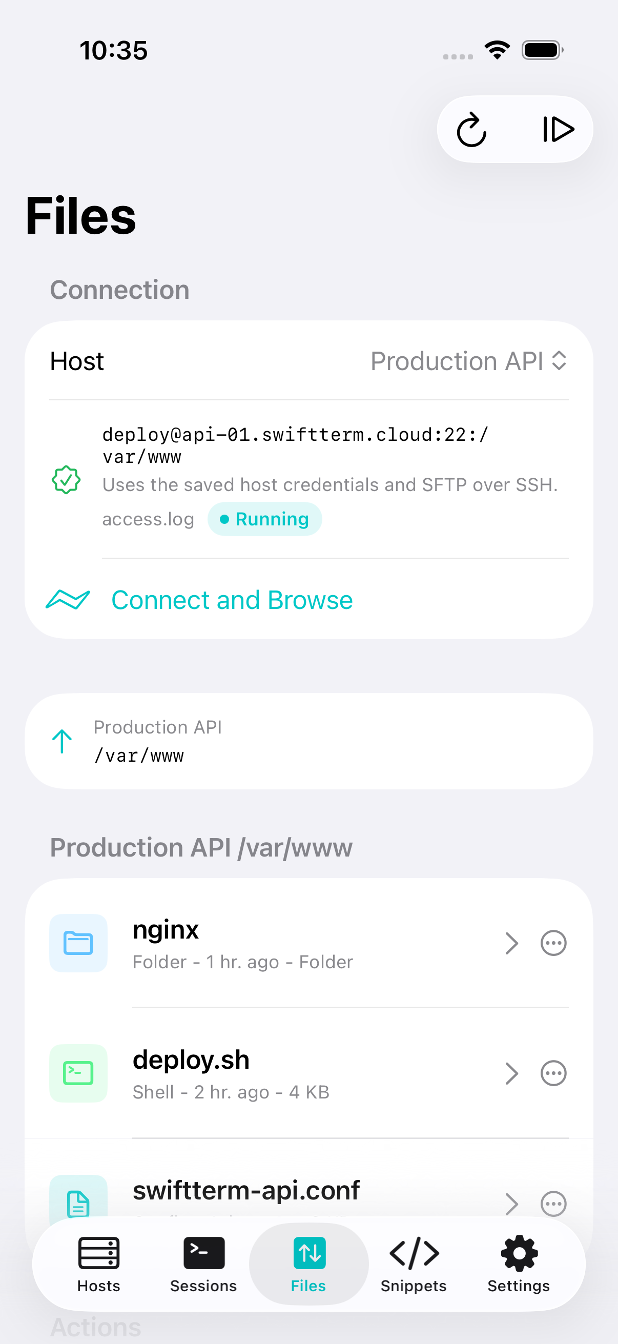 SwiftTerm iPhone SFTP file transfer screen